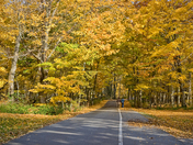 Mother Nature's Midas Touch