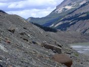 Columbia Icefields, Jasper National Park