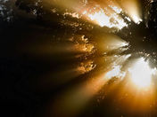 Sun Beams through mist Port Perry Ontario