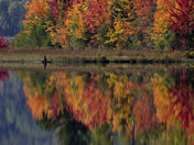 Algonquin Park Ontario Reflections