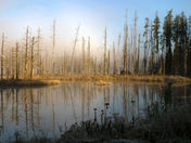 Chapleau Game Reserve Ontario Fall 