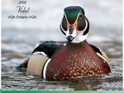 Woodducklabel.jpg