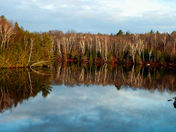 Water reflection  y.jpg
