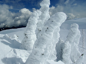 Mt Seymour, Vancouver, BC
