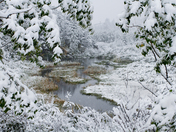 Red Rock Road after early snow
