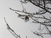 Fish Creek Provincial Park