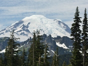 Mt Rainier Ntl Park
