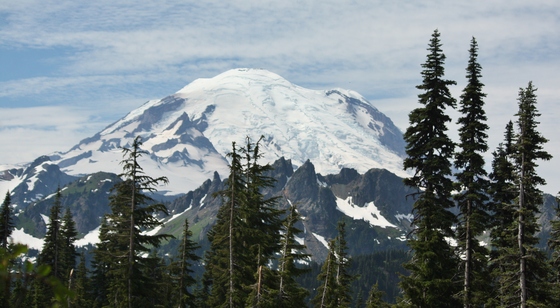 Mt Rainier Ntl Park