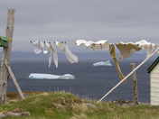 Laundry Day, Newfoundland