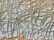Old Paint