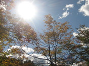 Crisp Autmn Day in Point Pelee National Park