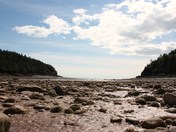 Bay of Fundy Tides