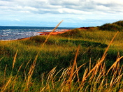 Thunder Cove, PEI