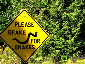Give snakes a "brake"