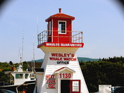 A "whale" of a guarantee in Cape Breton 