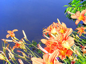 Otonabee River, Ontario