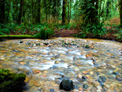 Smuggler's Cove Provincial Park 
