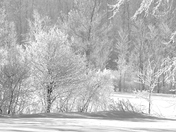 In Night White Dress 3.jpg