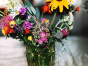 prairie wildflowers.jpg