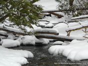 Dark Water ON a Cold Snowy Day 