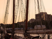 Tall Ships Victoria Harbour