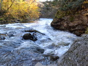 Autumn in the Highlands