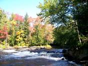 algonquin 2008 006.JPG