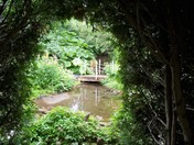 Beauty on a rainy day