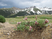 Independence Pass/San Isabel National Forest