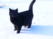 November pics 098.jpg