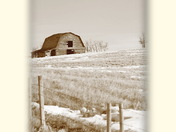 02-04-09_south of 22x_old barn portrait.jpg