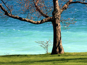 Lake Ontario - Wellington