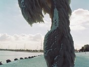 An ominous bow within winter's grasp