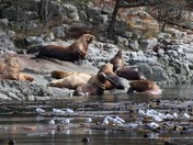 20110929-IMG_1700.jpg