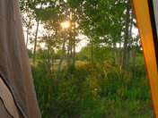 Uncompahgre National Forest
