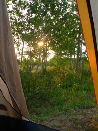 Uncompahgre National Forest