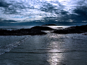 Tofino Beach, Vancouver Island
