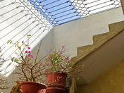 Stairway - Los Cabos