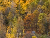 Ottawa Valley Autumn