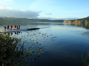 Water. Elk Lake, Victoria BC Canada