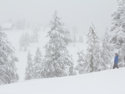 Tetrahedron Provincial Park