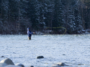 Winter Steelhead Fishing - Vancouver Island