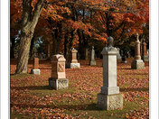 Cemetery color