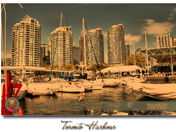 Toronto Harbour.jpg