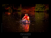 Beautiful Ontario.jpg