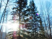 Warm Fall day at Obrian Park, Grande Prairie Alberta