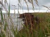 Prince Edward Island!