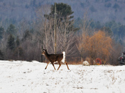 Direct contact with nature.jpg