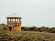 Ste-Therese de Gaspe Harbour.jpg