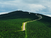 Parc national du Mont-MÃ‡gantic.jpg